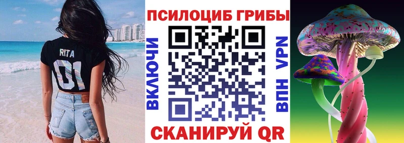 Галлюциногенные грибы мицелий  наркошоп  Райчихинск 